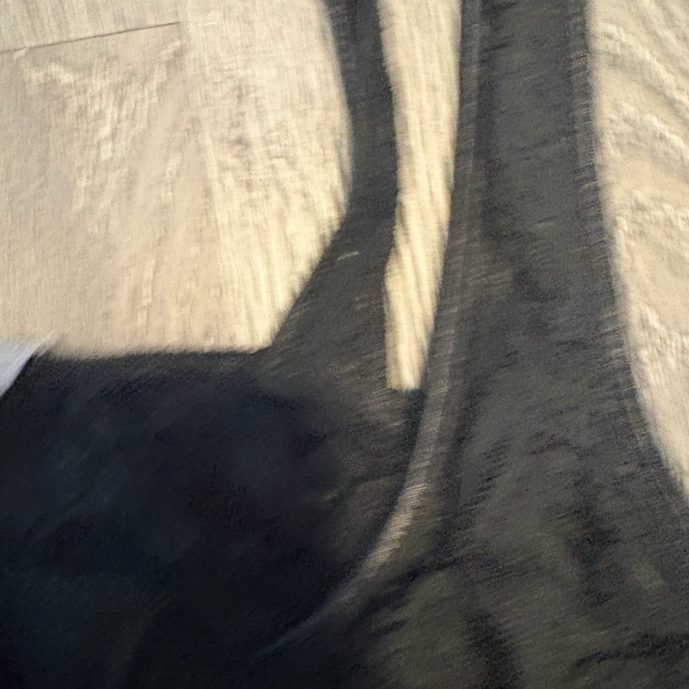 Papillon Blanc Black Lace Lace-Up Camisole - Picture 6 of 6